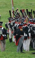 Бородино 2013 года Бородино 2013 года